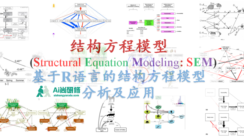 十佳精品课程 基于r语言的结构方程模型分析及实践技术应用高级研修课程 您的专属研修学院